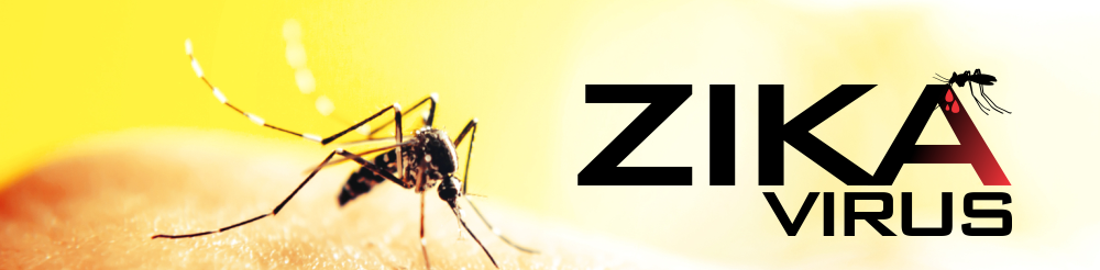 know-about-zika