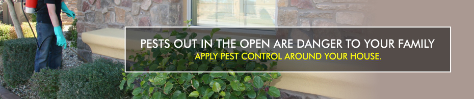 navi-pest-control-advt-4